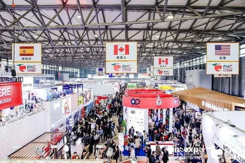 火鍋江湖 百家爭(zhēng)鳴 11月上?；疱佌故⒋箝_(kāi)幕，聚焦機(jī)械進(jìn)出口新機(jī)遇